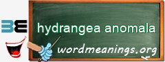 WordMeaning blackboard for hydrangea anomala